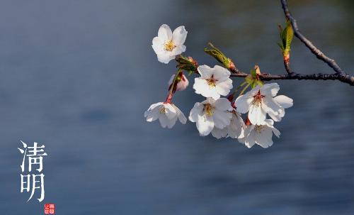 让清明更“清明”
