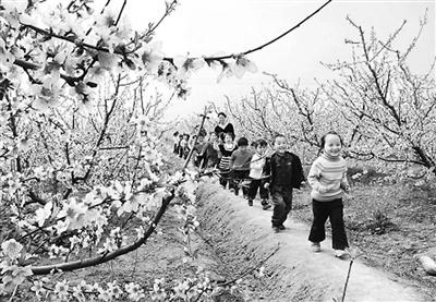 2015清明:寒食已随云影杳 祭祖无妨踏青游