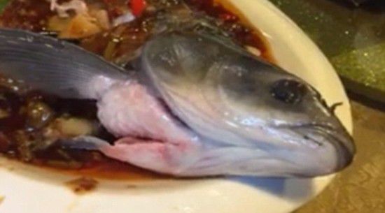 外媒曝广州餐馆"僵尸鱼"被煮熟后仍在抽搐蠕动