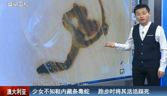 跑步踩死毒蛇