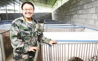 工程师辞职养豪猪