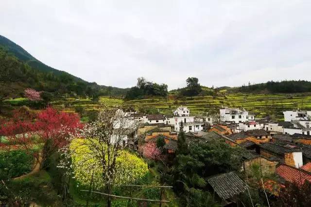 马云拿下400家城市医院 ,又一场新变革即将来了!