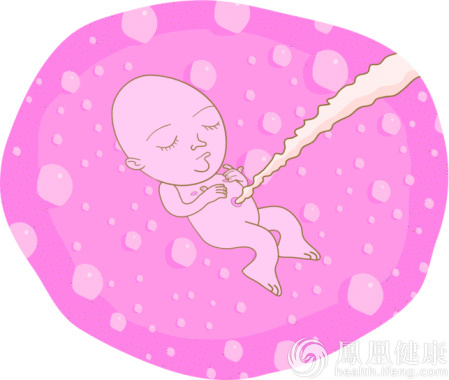 人体胎盘黑市被热炒 专家:和吃肉没多大区别