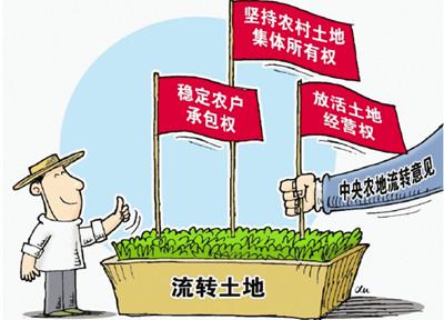 农村改革“三权分置”是什么?