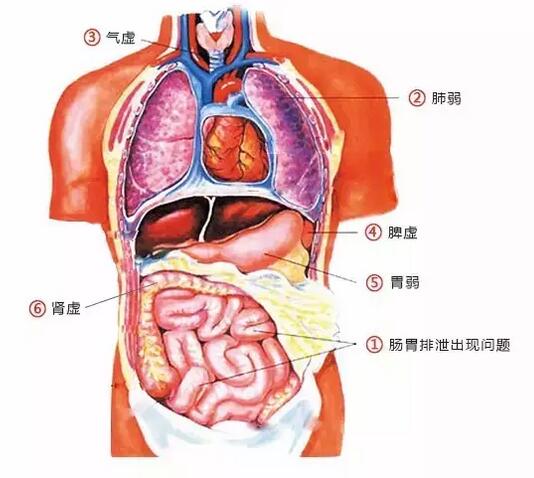 体内湿气不除,口臭便秘头脸油腻,虚胖犯困气色差,睡多久也不够!