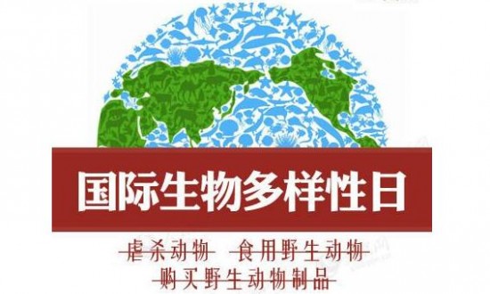 国际生物多样性日