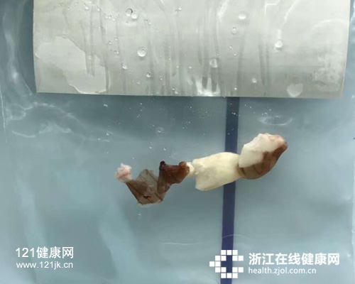 花生0.jpg 花生0.jpg